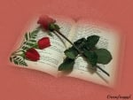 ROSES ON BOOK