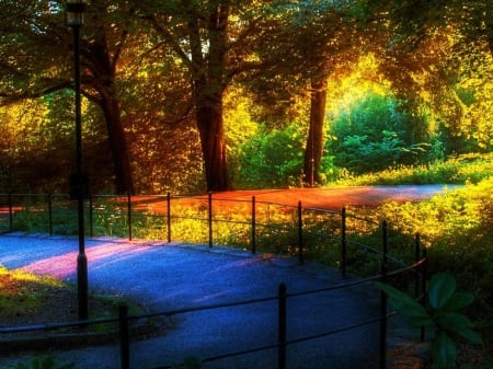 Park in Summer - path, trees, fence, sunlight