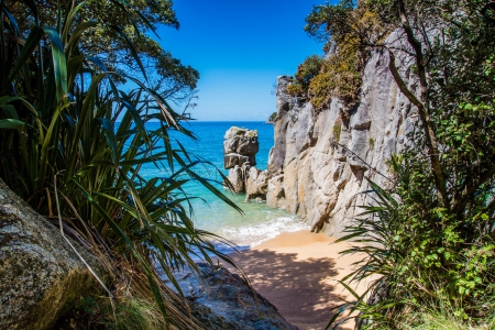 Personal Beach - ocean, beach, trees, beautiful, summer, sand, light and shadow, rocks