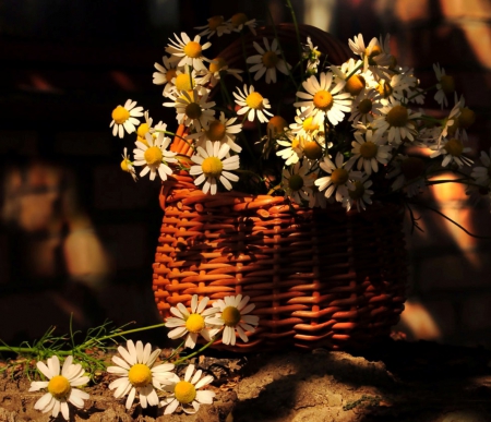 Still life - flowers, basket, nature, soft