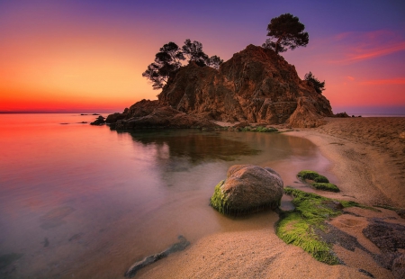 Amazing Sunrise Beach - trees, beach, beautiful, rock, sea, sunrise, sand, seashore, purple, red, green, Spain, morning calm