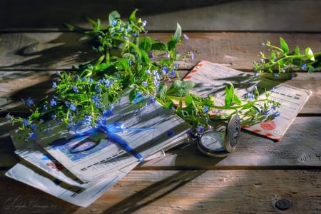 Blue Flowers - splendor, letters, postcard, with love, petals, flowers, wooden, nature, forget me not