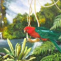 King Parrot