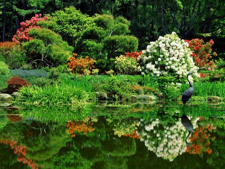 Oriental Garden and Pond - pond, bird statue, flowering trees, reflection, oriental garden