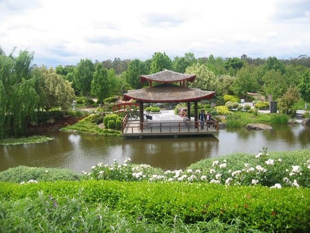 Oriental Garden, Hunter Valley - flowers, oriental, trees, pond, pagoda