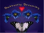 Butterfly Dreaming