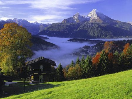 Bavaria-Germany - lovely, green grass