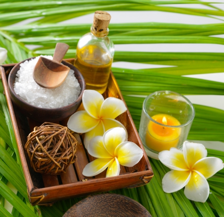 ♥Spa♥ - relax, plumeria, spa, zen, salt, oil