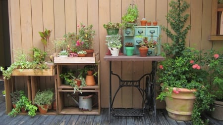 Lovely plants - plants, lovely, Potted plants, Sewing Machine