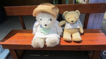 Teddy Bears - lovely, Teddy Bears, Leisure, garden