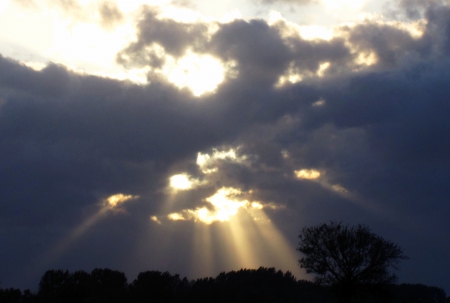 Sunrays - nature, view, sky, sun, clouds, tree