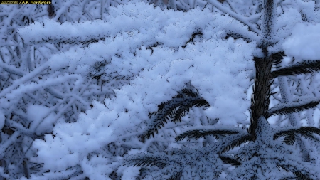 Eiskristall - Nature, Winter, Eis, Baum, Foto, Abstract