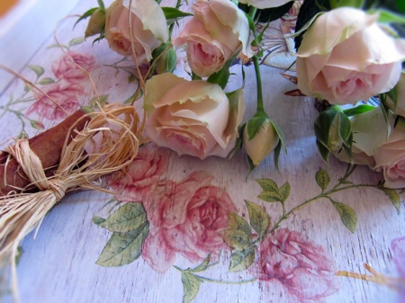 ~ இڿ-ڿڰۣ--- ~ - roses, painted roses, soft color, pink