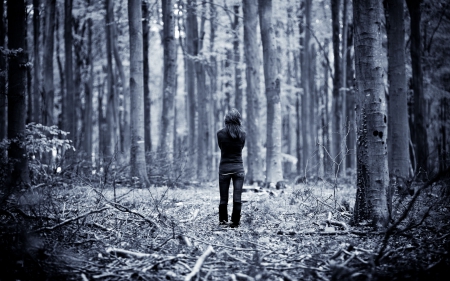 blonde in forest - alone, beauty, forest, woods