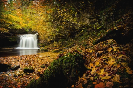 * Autumn waterfall * - nature, autumn, forest, waterfall