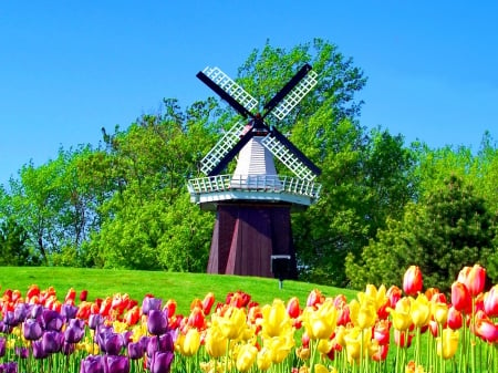 Holland mill - summer, pretty, greenery, tulips, beautiful, flowers, windmill, grass, nice, holland, lovely, trees, colorful