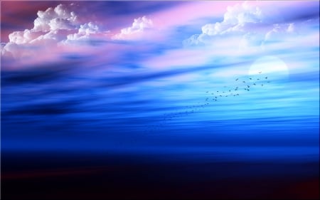 â™¥ - sky, cloud, pink, blue, black, bird