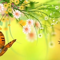 Spring background