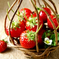 Strawberries