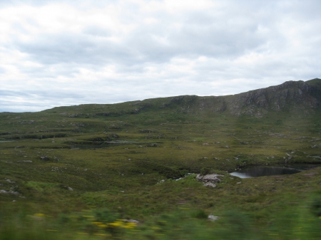 Marshland - grass, scenic grass, green grass, marshland