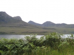 A Loch, some hills, and vibrant plants