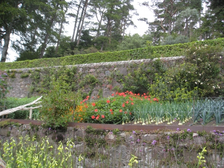 Garden - Garden, Scottish Gardens, Beautiful Garden, Flower