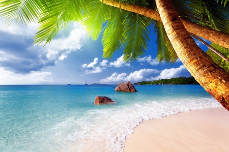 Tropical paradise - relax, summer, beach, island, shore, exotic, paradise, sky, clouds, palms, beautiful, vacation, sea, lovely, ocean, rest, tropics, tropical, waves