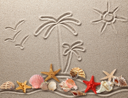 ♥Sand♥ - starfish, drawing, seashells, texture, sand