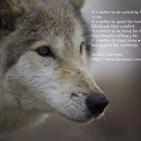 wolf wisdom