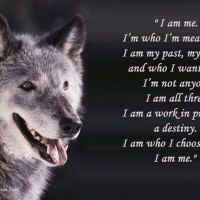 wolf wisdom