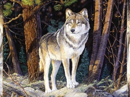 Wolf - animal, predator, wilderness, artwork