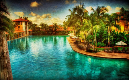 Wonderful Pool - hotel, palms, water, summer