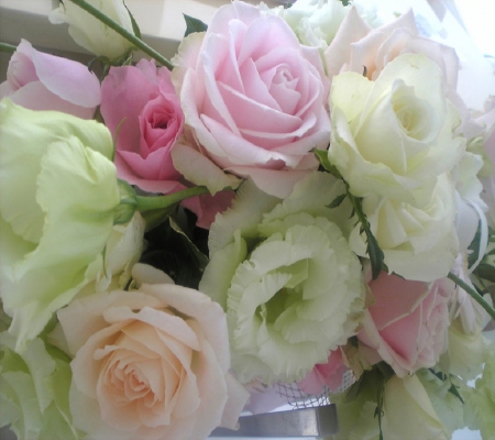 Soft Bouquet of Roses - beauty, roses, soft, lovely, nautre, nature, white, purple, pretty, pink, petals, beautiful, green, sweet, flowers, cute