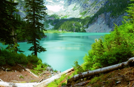 Beautiful Lake At Cascade Range - blanca, lake, mountain, forest, beautiful landscape, turquoise water, trunks, washington state