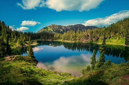 Chain Lake On Summer - lake, mountain, forest, reflection, clouds, beautiful, grass, washington state