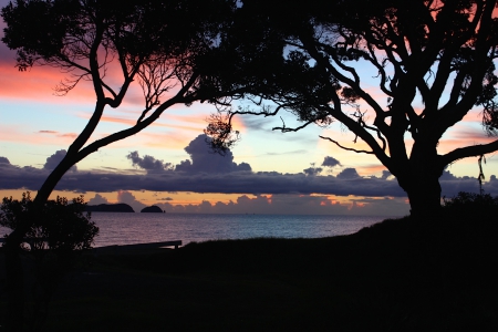 coromandel sunset - coromandel, sunset, beach, pink skies