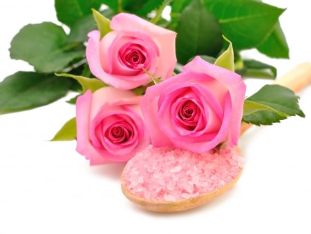 â™¥Spa Rosesâ™¥ - salt, spa, roses, pink