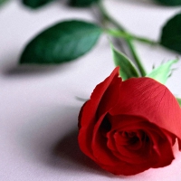 For Adi