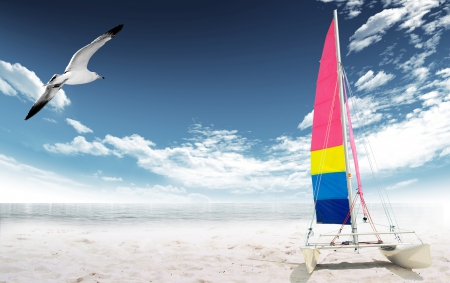 ♥Beach♥ - beach, seagull, sea, sky, yacht