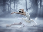 White Swan Lake