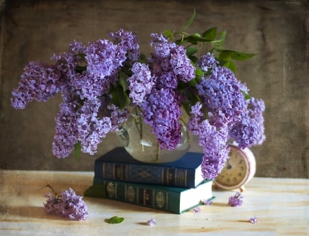 * Lilacs * - flowers, flower, nature, lilacs