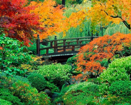 Garden - nature, bridge, garden, trees