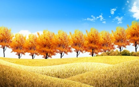 Golden field - field, gold, trees, nature