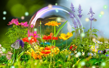 Fantasy garden - blossoms, summer, flowers, grass, garden, plants, petals, butterfly, bubble, colorful