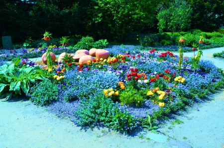 Springtime Flowers - blossoms, path, park, colors