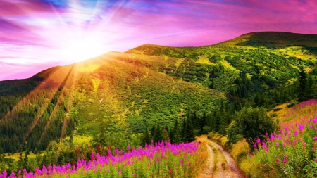 sunbeams on spring landscape - flowers, beams, road, mountains, sun