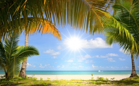 Beautiful sky - beach, sky, trees, nature