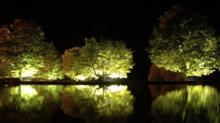 reflections - water, the, trees, in