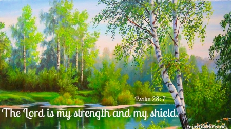 Beautiful Forest - Trees, Scripture, Nature, Tree, Forest, Lake, God, Quiet, Christian, Shield, Pond, Strength, Water, Bible