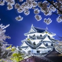 Hikone Castle, Japan